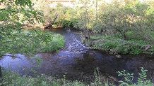 Trout stream in Southwest Wisconsin.