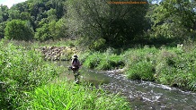 Trout stream in Southwest Wisconsin.