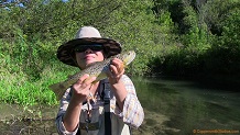 Trout stream in Southwest Wisconsin.