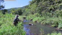 Trout stream in Southwest Wisconsin.