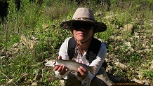 Trout stream in Southwest Wisconsin.