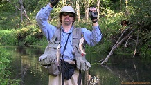 Trout stream in Southwest Wisconsin.