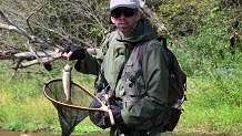 Trout stream in Southwest Wisconsin.