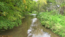 Trout stream in Southwest Wisconsin.