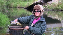 Trout stream in Southwest Wisconsin.