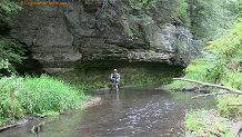 Trout stream in Southwest Wisconsin.