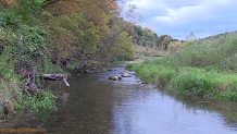 Trout stream in Southwest Wisconsin.
