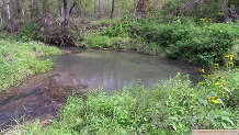 Trout stream in Southwest Wisconsin.