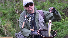 Trout stream in Southwest Wisconsin.