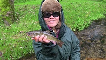Trout stream in Southwest Wisconsin.