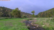 Trout stream in Southwest Wisconsin.