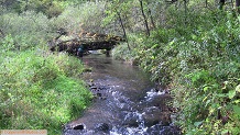Trout stream in Southwest Wisconsin.