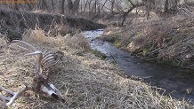Trout stream in Southwest Wisconsin.