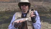 Trout stream in Southwest Wisconsin.