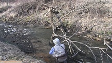 Trout stream in Southwest Wisconsin.