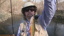 Trout stream in Southwest Wisconsin.