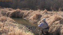 Trout stream in Southwest Wisconsin.