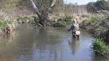 Trout stream in Southwest Wisconsin.