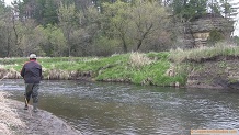 Trout stream in Southwest Wisconsin.