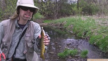 Trout stream in Southwest Wisconsin.