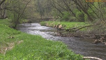 Trout stream in Southwest Wisconsin.