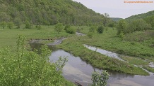 Trout stream in Southwest Wisconsin.
