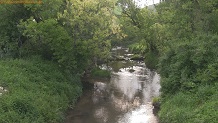 Trout stream in Southwest Wisconsin.