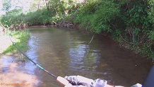 Trout stream in Southwest Wisconsin.