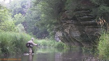 Trout stream in Southwest Wisconsin.
