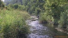 Trout stream in Southwest Wisconsin.