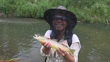 Trout stream in Southwest Wisconsin.