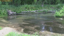 Trout stream in Southwest Wisconsin.