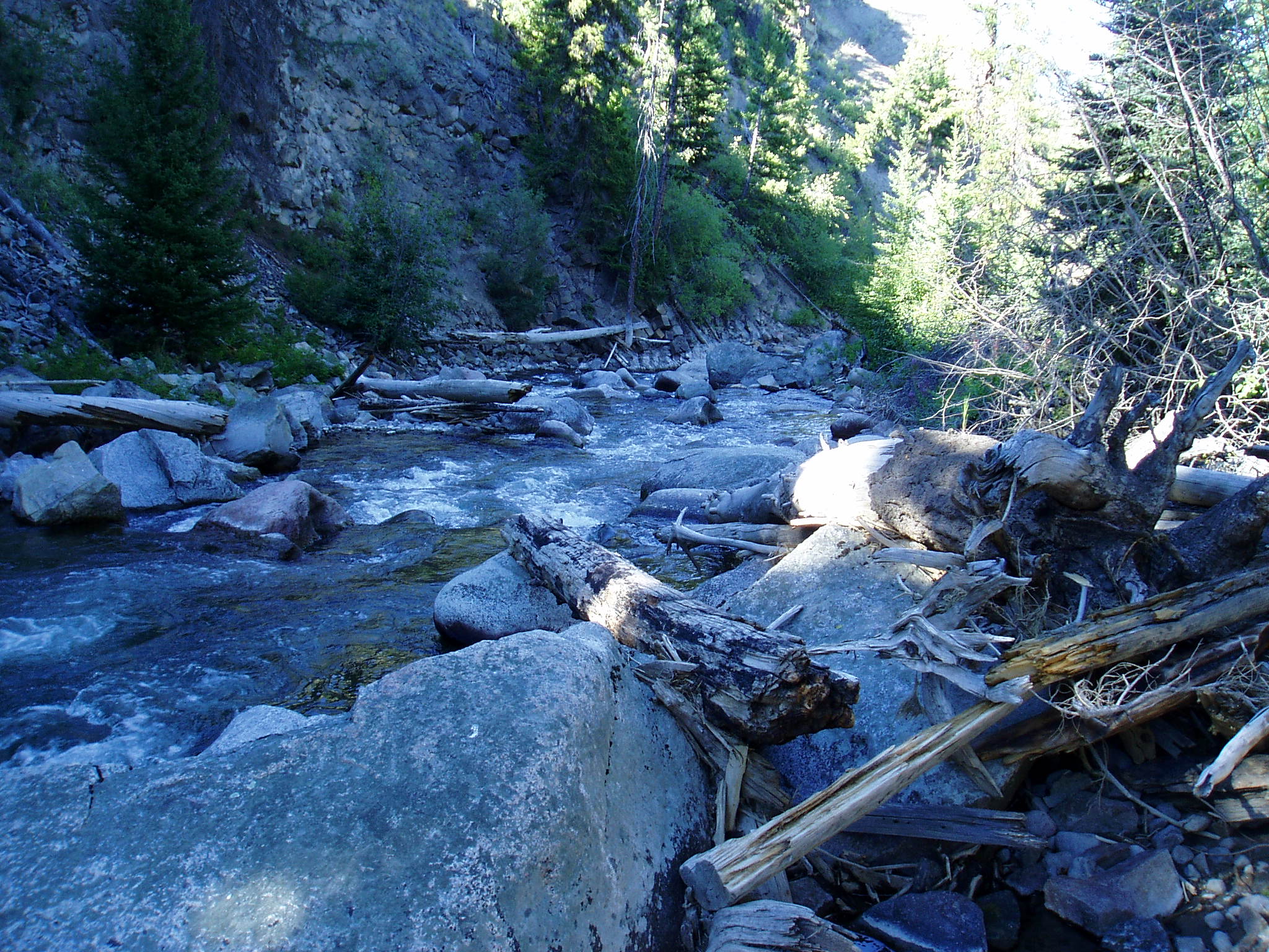 Tower Creek, Yellowstone National Park