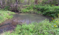 SW Wisconsin Trout Streams DVD Trailer 1