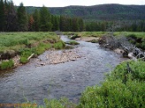 East Fork Black's Fork River in Uintah Wilderness