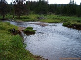 East Fork Black's Fork River in Uintah Wilderness