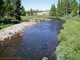 West Fork Black's Fork River in Uintah Wilderness