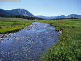 West Fork Black's Fork River in Uintah Wilderness