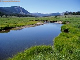 West Fork Black's Fork River in Uintah Wilderness