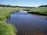 West Fork Black's Fork River in Uintah Wilderness