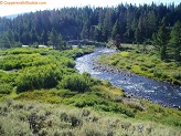 West Fork Black's Fork River in Uintah Wilderness