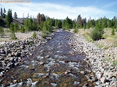 West Fork Black's Fork River in Uintah Wilderness