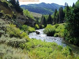 Left Fork Huntington Creek, Utah