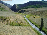 Left Fork Huntington Creek, Utah