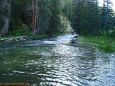 Left Fork Huntington Creek, Utah