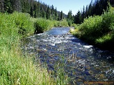 Right Fork Huntington Creek, Utah