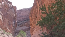 Capital Gorge Passage, Capital Reef National Park, UT