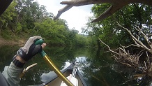 Fishing Craig Creek, Virginia