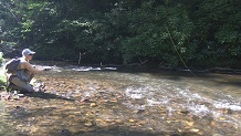 Fishing the Dan River, at Townes Dam