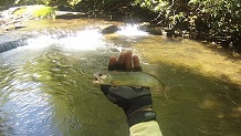 Fishing Laurel Fork, Virginia